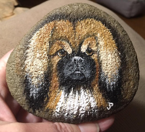 29025397_1695091323915923_1781153076940097295_n